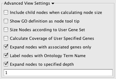 panel_advanced_settings.jpg