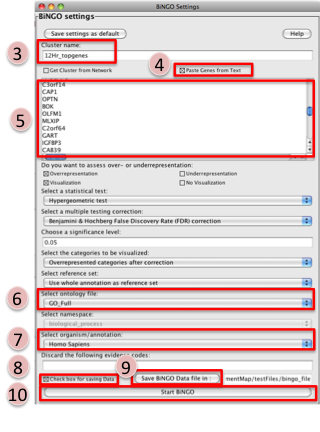 Screenshot BiNGO Input Panel