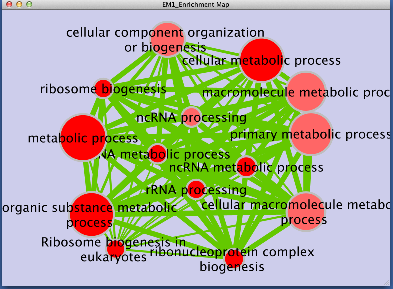 gProfiler EM Result