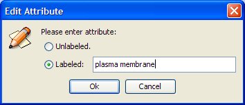 plasma.jpg